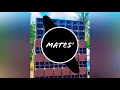 Download Lagu Mates audio phile ANTHEM BY DJ NIEL LPMC