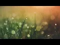 Decide Tú - Grupo Firme ft Banda Sinaloense ( Âlex Müsîč )