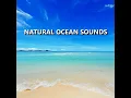 Exciting Natural Beach Waves