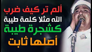 إيه الجمال ده   ألم تر كيف ضرب الله مثلا كلمة طيبة كشجرة طيبة أصلها ثابت دندنها