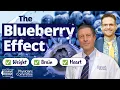 Blueberry Health Effects Protect Your Brain Heart and Waistline Dr Neal Barnard