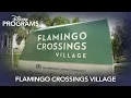 Disney Programs Flamingo Crossings Village