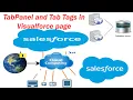8 TabPanel and Tab Tags --Visualforce page