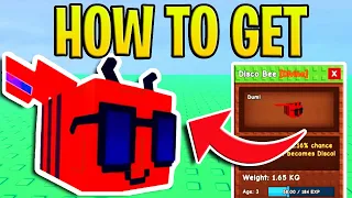 HOW TO GET DISCO BEE FOR FREE IN ROBLOX GROW A GARDEN | DISCO BEE SHOWCASE