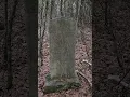 Abandoned Forgotten Cemetery in Rural North Florida