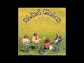 [852Hz] Blind Melon - No Rain