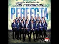 Perfecta (Banda Los Recoditos)