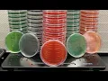 Agar plates made easy From start to finish