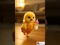 Download Lagu dudi dudi dam dam cute baby chick🍼#dudidudidam #cutechick #chicken  #viralshorts #shortsfeed #cute