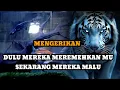 Download Lagu JIWA TERPILIH _ DULU MEREKA MEREMEHKAN MU SEKARANG MEREKA MALU 