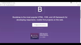 How to Embed Bootstrap to Visual Studio