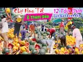 Lagu Ế thảm sầu 29 tết đập tan nát dưa hấu hơn 12 tấn, chặt mai chợ hoa tết cần thơ