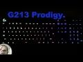 Logitech G213 Prodigy Now and Three Months Later