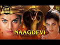 Download Lagu Naagdevi Movie | Hindi Dubbed Movies | Prema | Vanitha Vijaykumar | Babu Mohan | Action Movies