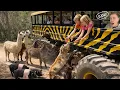 Watch BEFORE Visiting Showcase of Citrus of Clermont Florida - TOUR