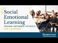 Trauma Informed Schools Tier I Support SEL Webinar 2025