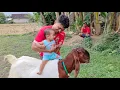 Download Lagu KOK ISO RUGI TERUS || SING SABAR YA NDIK  ||TETEP SEMANGAT POKOK E 💪