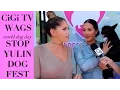 Natalie Halcro Olivia Pierson Interview on WAGS
