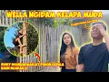 Download Lagu WELLA NGIDAM KELAPA MUDA