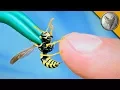STUNG by a YELLOW JACKET
