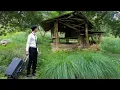 Download Lagu CEO Leaves City, Returns to Forest - Recovering a Wooden House After 5 Years of Abandonment, Part 1