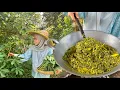 HIDUP JIMAT CARI SAYUR SEGAR DI KEBUN | TEMPOYAK PUCUK UBI😍