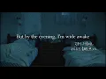 Phoebe Bridgers - Haunted｜中文歌詞翻譯