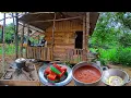 Download Lagu Hidup sederhana di pondok hutan,membuat kue lapis, pondok di huni makluk berbulu CTd-87