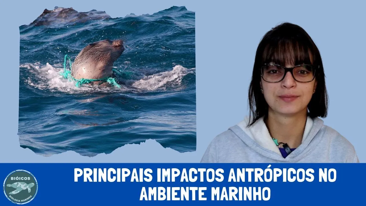 Principais impactos antrópicos no ambiente marinho #51