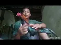 Download Lagu CARA MENAIKAN MENTAL AYAM PENAKUT