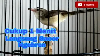 semua prenjak klik klik pasti nyaut dengar pancingan prenjak klik klik ngebren panjang ini