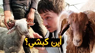 سافرت من ليبيا الى تركيا لشراء أكبر الكباش العيد مع الجالية الجزائرية Looking For The Sheep 