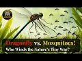 Dragonfly vs 100s of Mosquitoes Who Wins the Nature s Tiny War