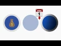 Understanding Your Tier 6 Contributions