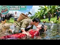 Download Lagu Pemuda Miskin Selamatkan Gadis Terseret Sungai, Ternyata Pewaris Miliarder Menikahinya Ubah Hidupnya