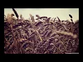 Röyksopp - Keyboard Milk