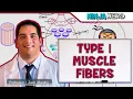 Musculoskeletal System Type I Muscle Fibers