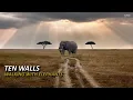 Ten Walls - Walking With Elephants [Four Seasons Extended Remix]