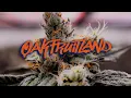 Oakfruitland x Deep Roots Oakland California Premier Indoor Cannabis