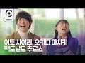 Download Lagu [자막] 이토 사이리, 오카다 마사키 \