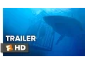 47 Meters Down Trailer 2017 Movieclips Trailers