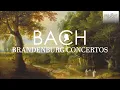 J.S. Bach: Brandenburg Concertos