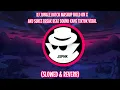 Download Lagu DJ JUNGLE DUTCH MASHUP HOLD ON X AKU SUKES BREAK BEAT SOUND KANE TIKTOK VIRAL (SLOWED \u0026 REVERB)