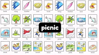 Pictionary word list 2024 8 - Picnic