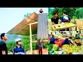 Finishing the canopy. Harvesting the pomelos, a small surprise gift for Anh Mến _Ly Thanh Thuy 