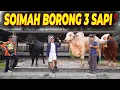 Download Lagu AKHIRNYA SOIMAH MENEMUKAN SAPI QURBAN DI  SETIA FARM..‼️ \
