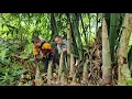 Download Lagu 3 Mother and children harvest giant bamboo shoots go sell - how to make pickled bamboo shoots