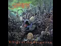 Download Lagu Suffocation - 1991 Effigy Of The Forgotten (FULL ALBUM)