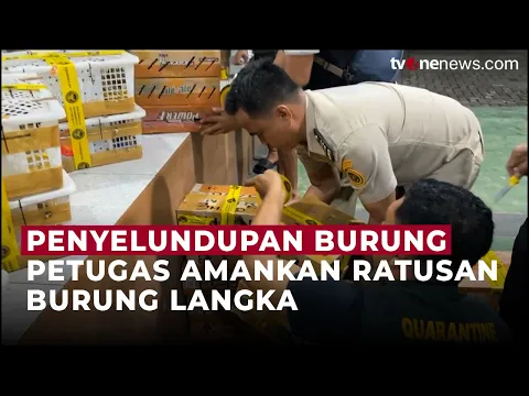 Ratusan Burung Dilindungi Ditemukan di Kabin Sopir, Upaya Penyeludupan Terungkap