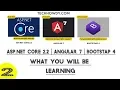 Creating ASP NET Core 2 2 Angular 7 Application - What You Will Learn
